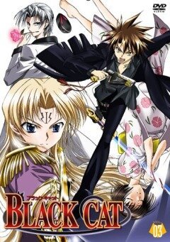 Черный кот (2005, аниме сериал) Черный кот (2005, аниме сериал)